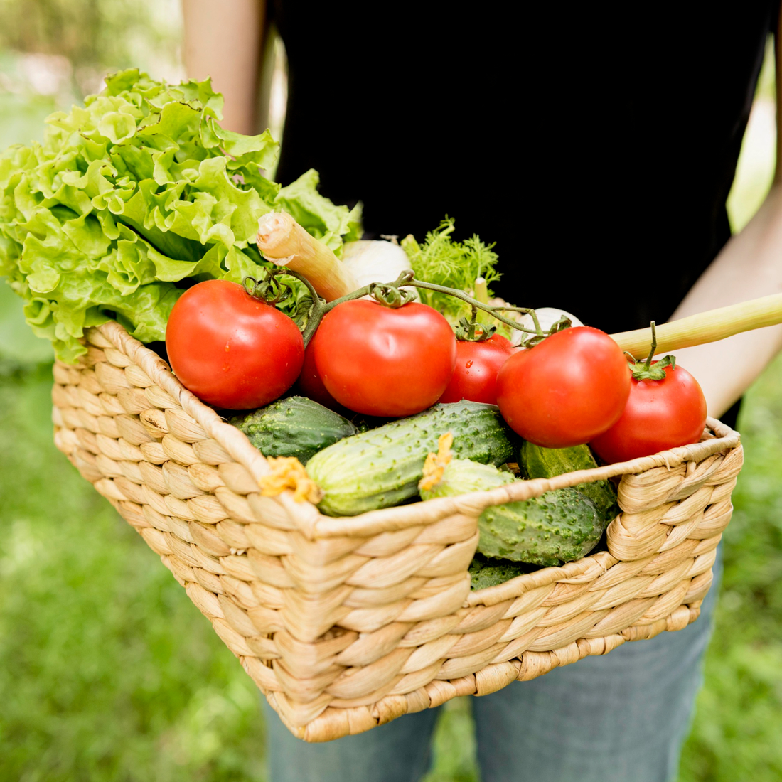 Conseils pour réussir la culture de légumes biologiques